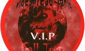 Widespread Panic 2001 VIP backstage pass Don’t Tell the Band Tour
