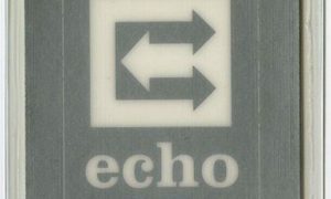 Tom Petty 1999 Echo Tour laminated backstage pass concert memorabilia