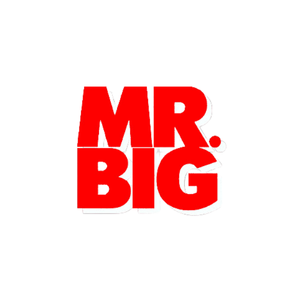 Mr. Big