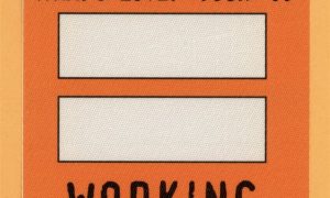 Tina Turner 1993 What's Love? Concert Tour Working Backstage Pass