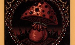 Allman Brothers Band Tour Program Book - 2010 United Palace Theatre NYC Tour